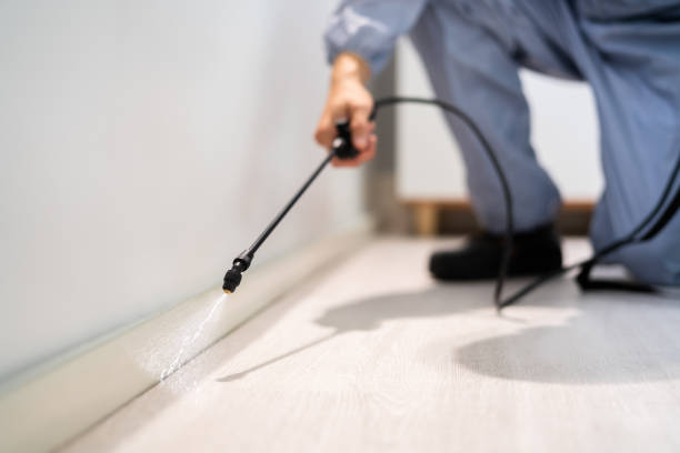 Bed Bug Pre-Treatment Preparation Assessment in Garland