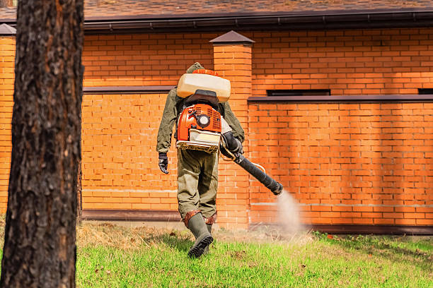 Bed Bug Clearance Verification and Documentation in Garland